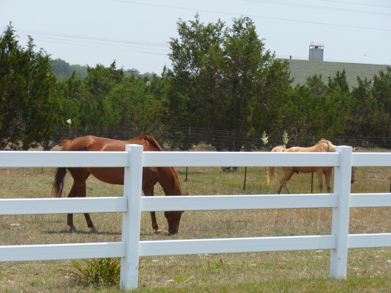cedar springs ranch dripping springs neighborhood guide