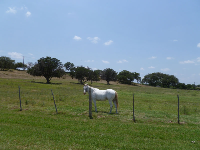 la Ventana driftwood neighborhood guide