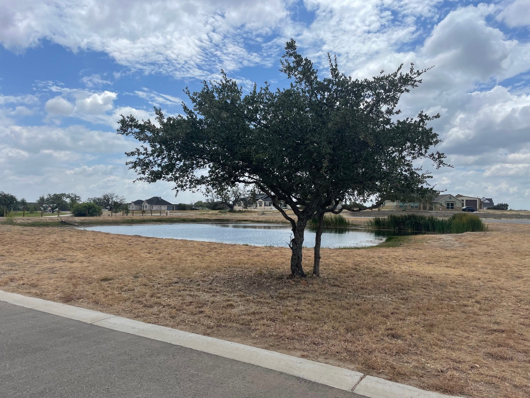 mesa vista ranch pond