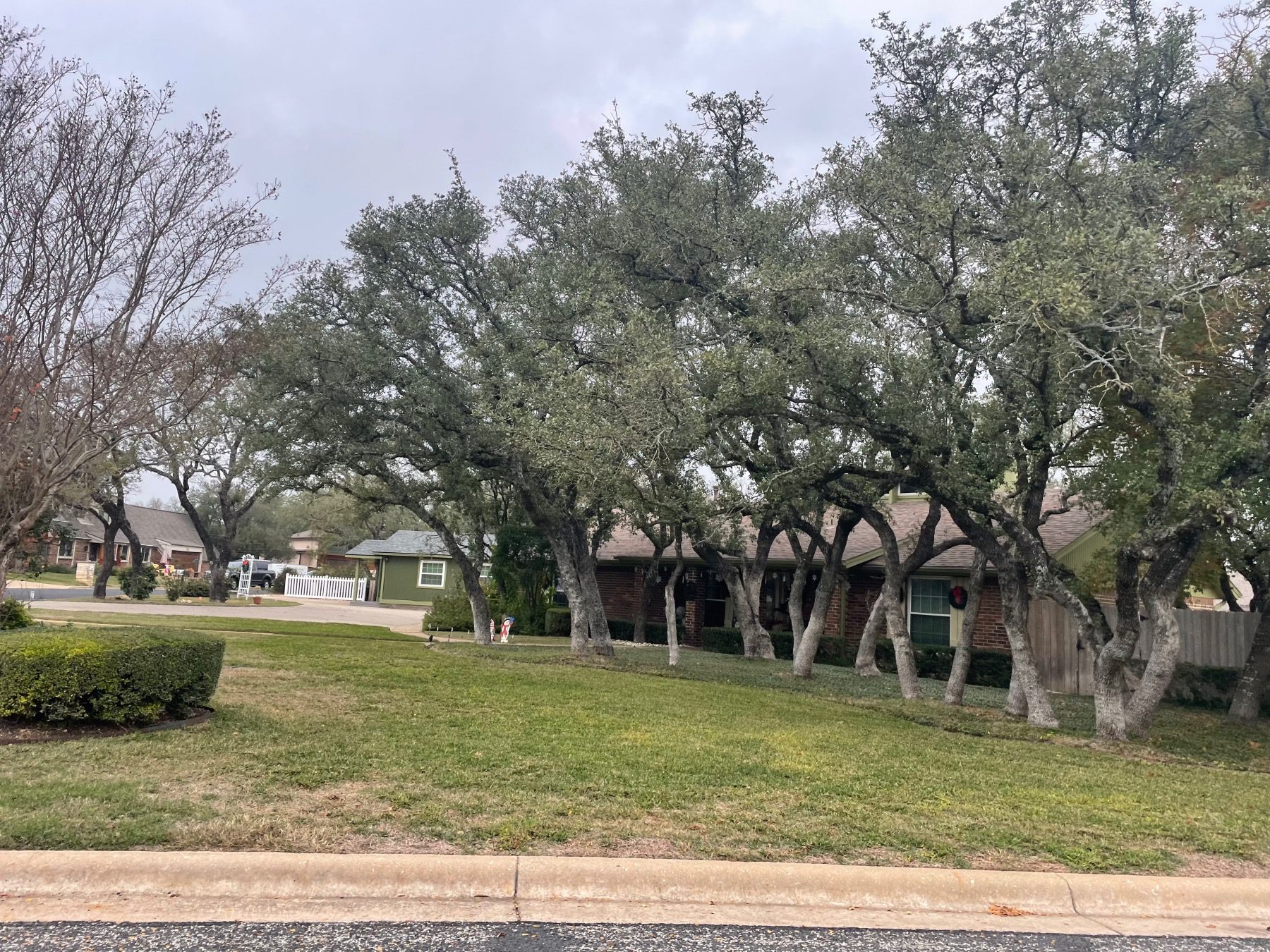 turtle bend home on wooded lot in georgetown