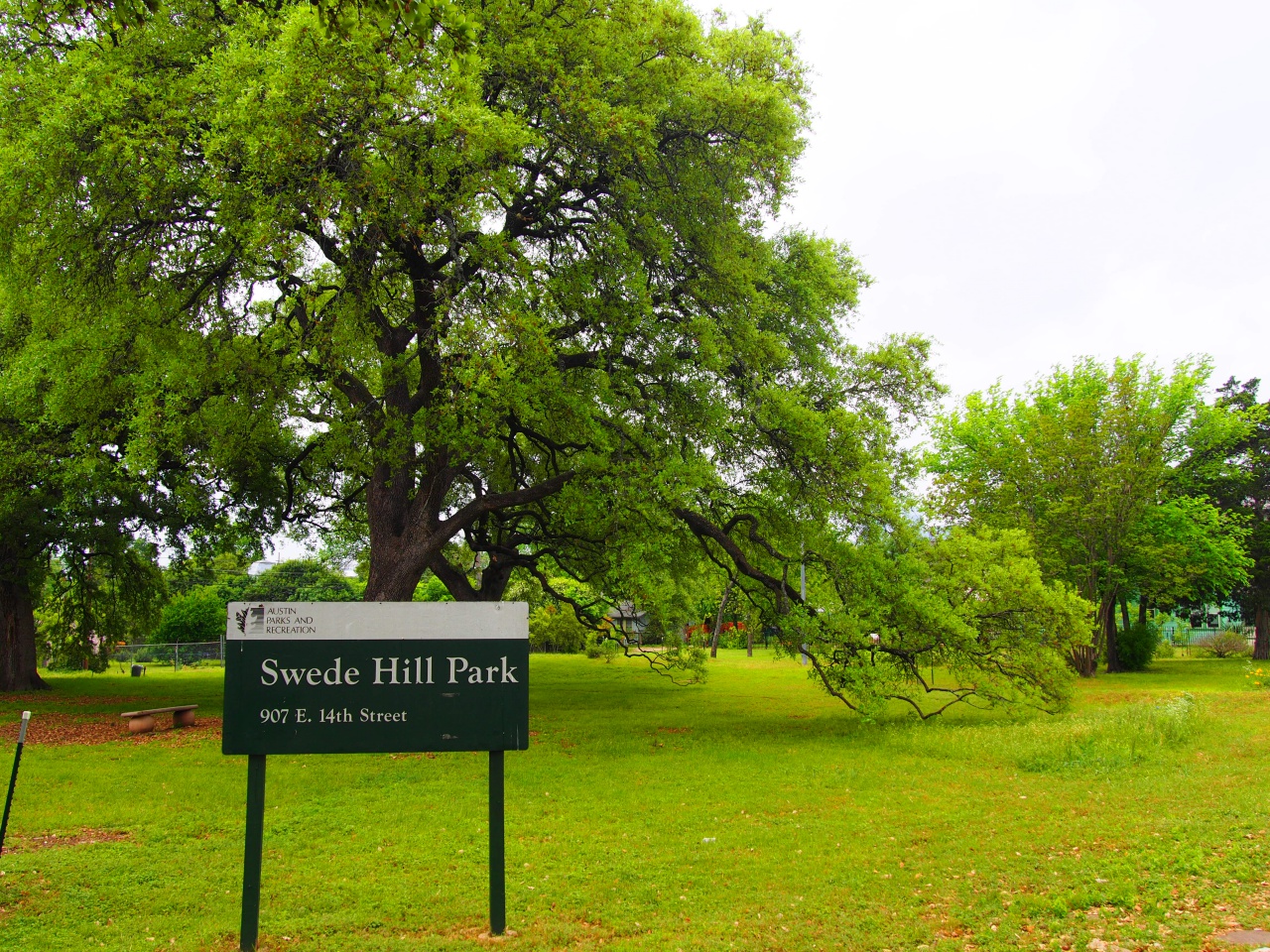 swede hill park Austin