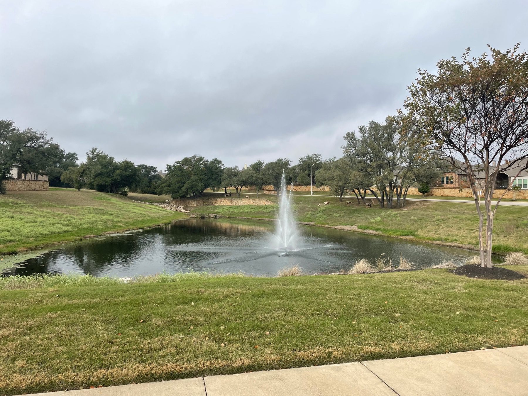 palmera ridge leander pond