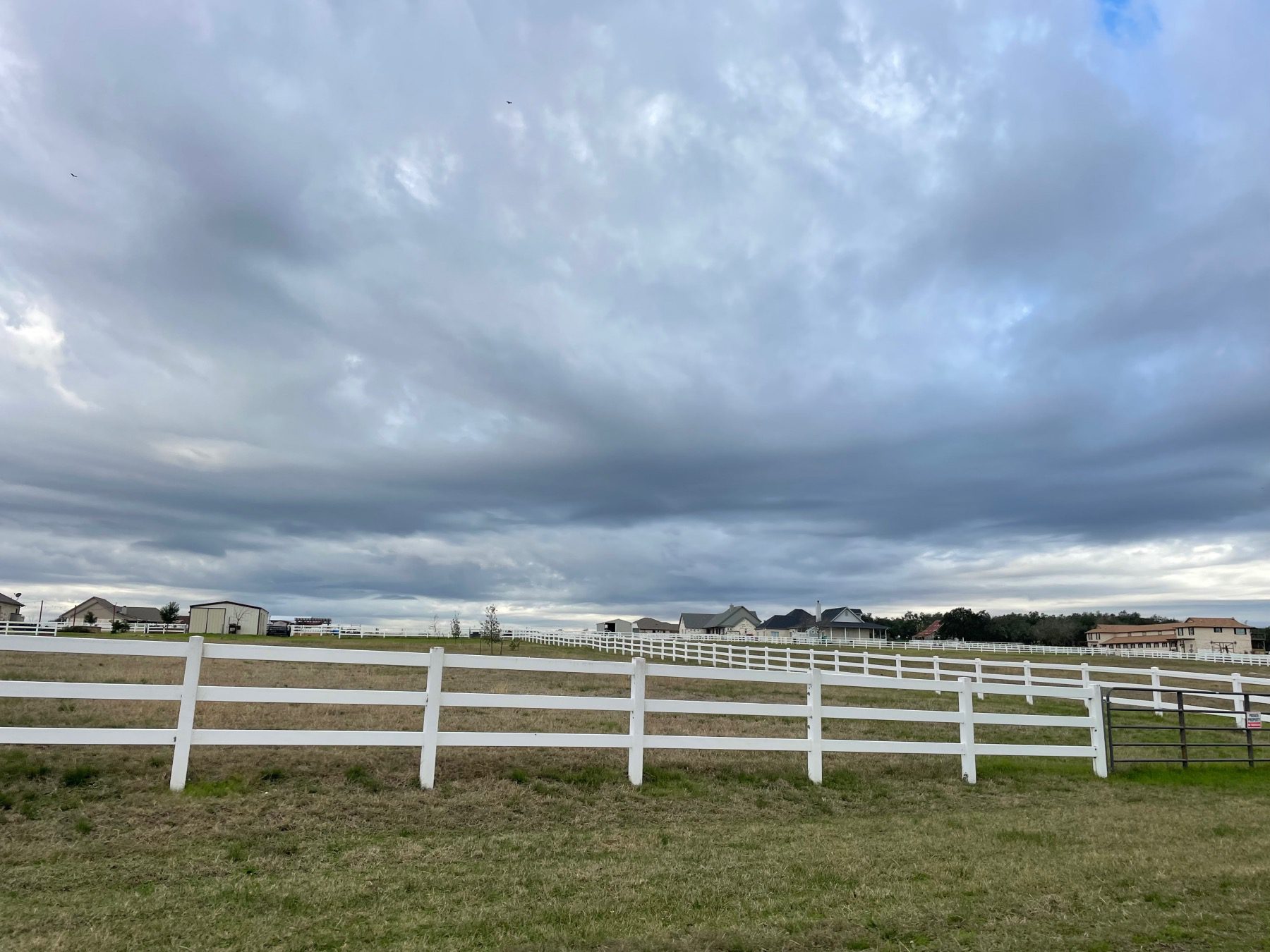 horse pastures twin creek farms georgetown