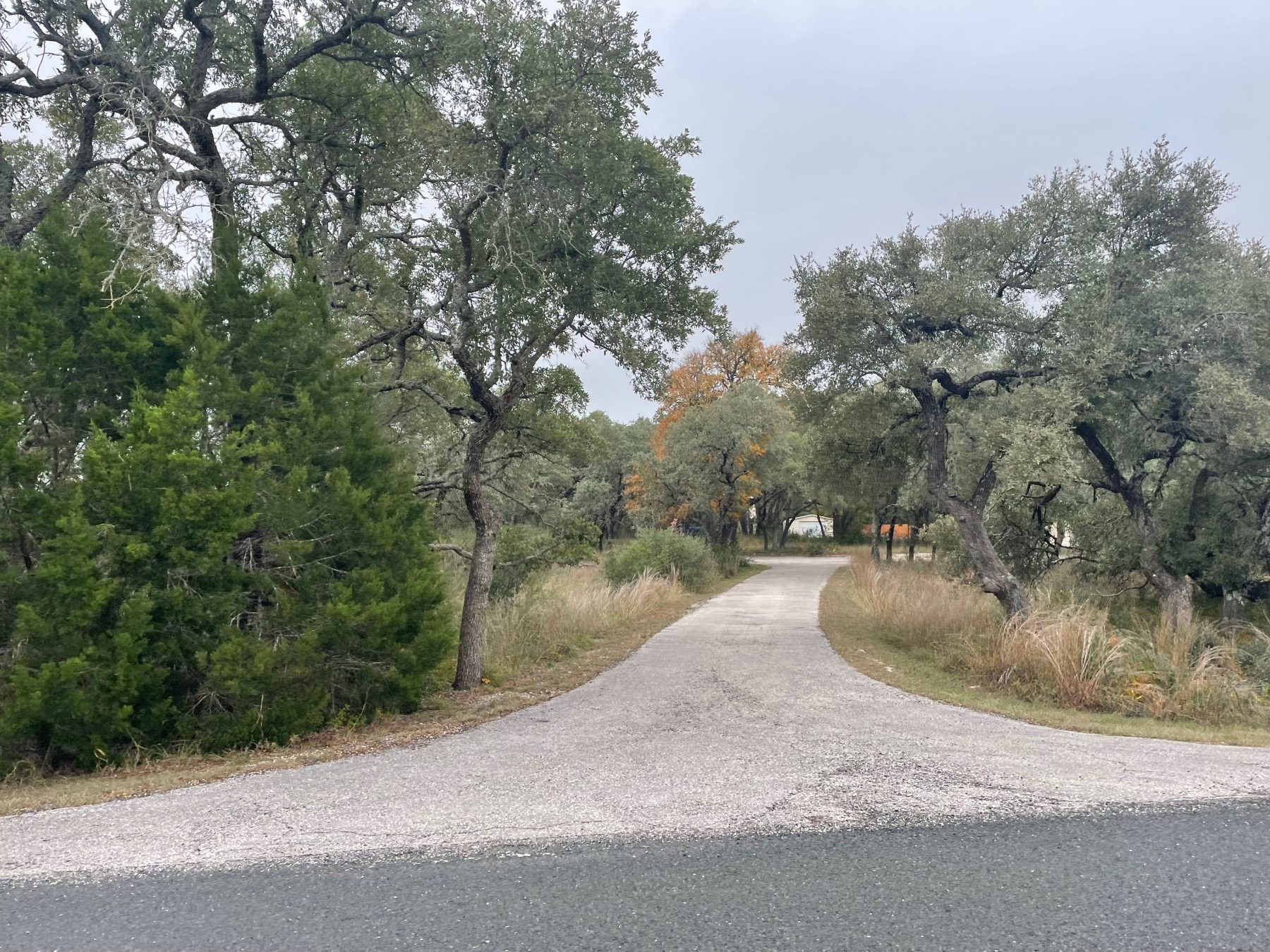 north rim cedar park driveway