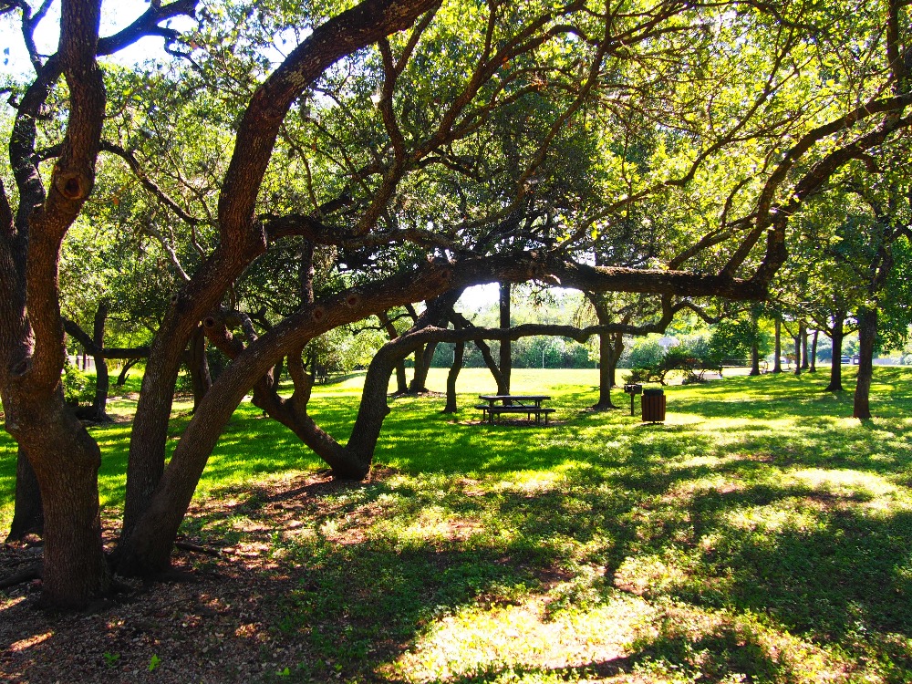best austin neighborhoods under 400k legend oaks