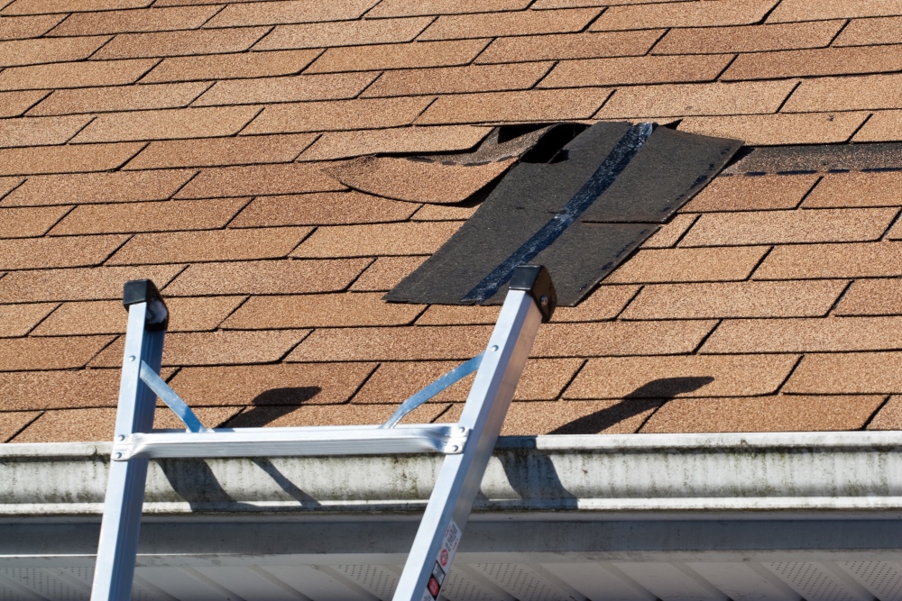 low cost projects that increase home values pre-sale inspection