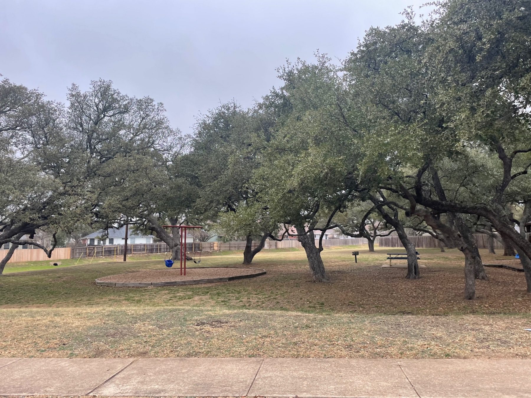 swings in horizon park leander texas 78641