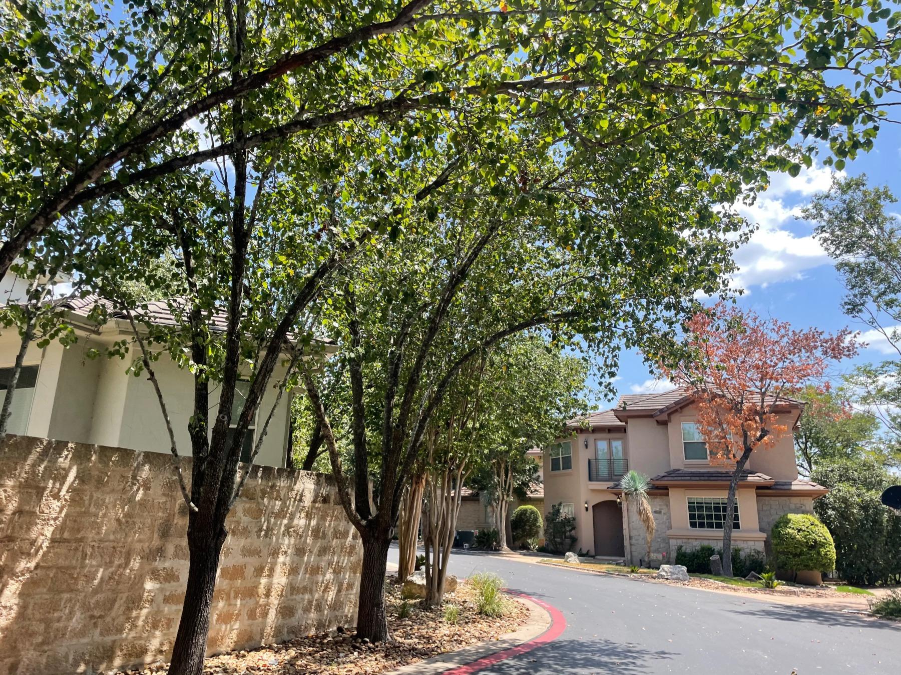 Davenport Rim neighborhood street Austin tx