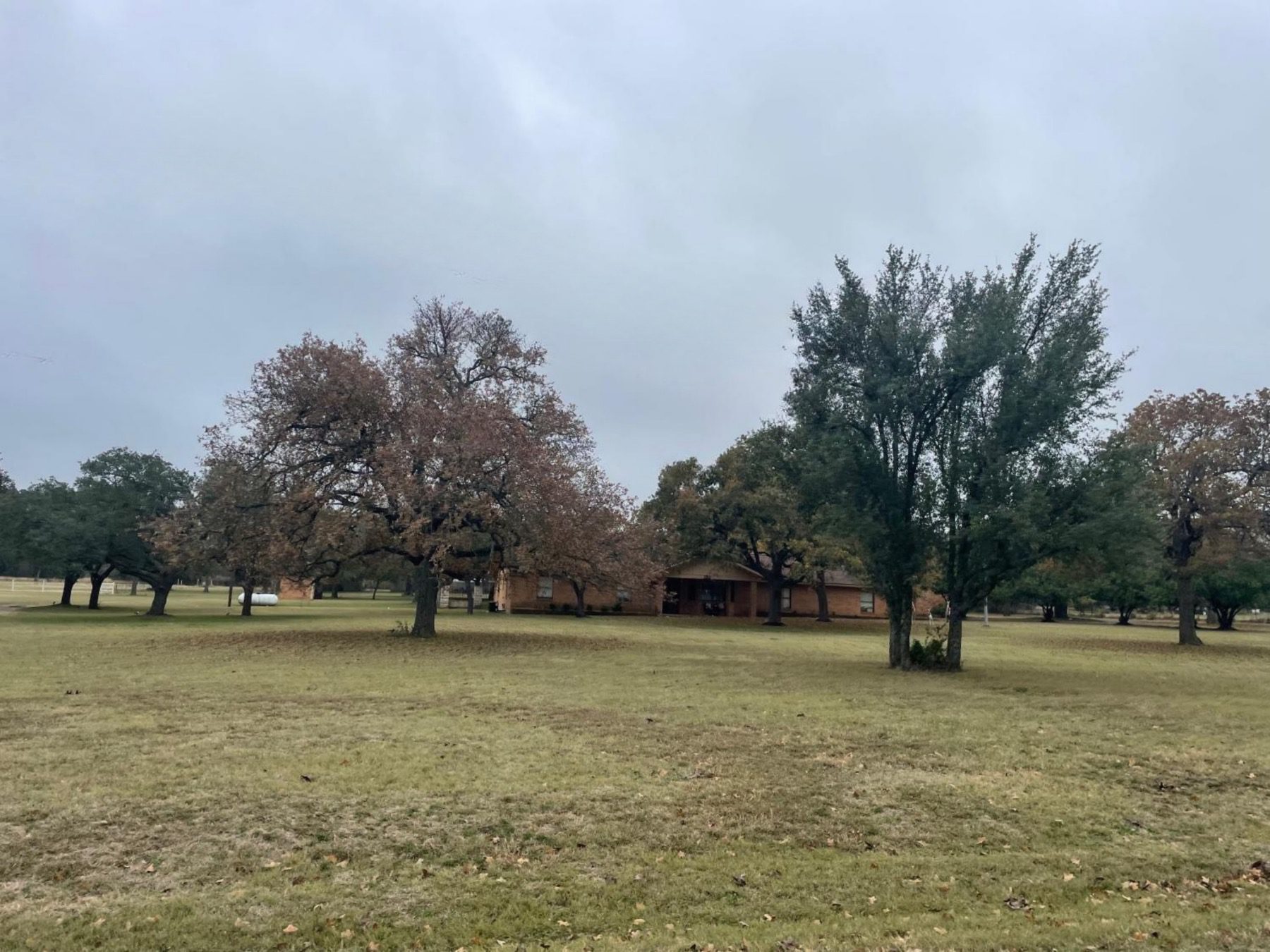 whitetail georgetown home on large lot