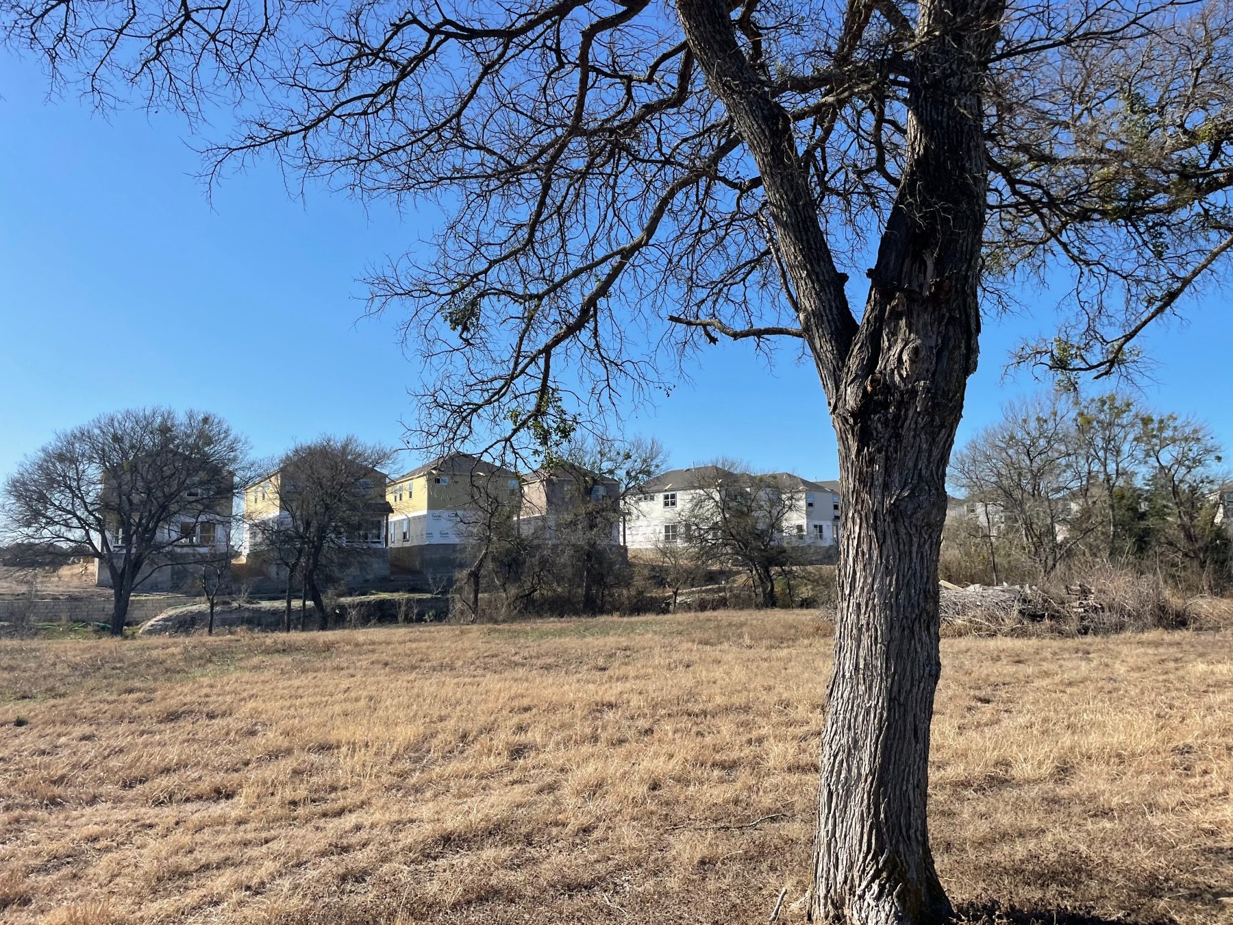 chester ranch place homes from rear of neighborhood round rock