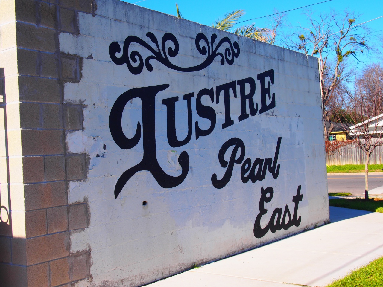 lustre pearl east austin govalle
