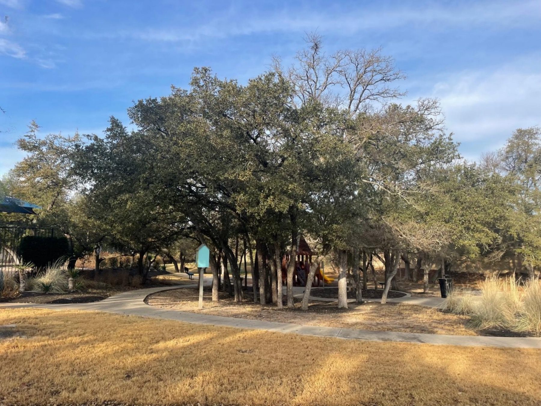 trails of shady oak playground leander tx 78641