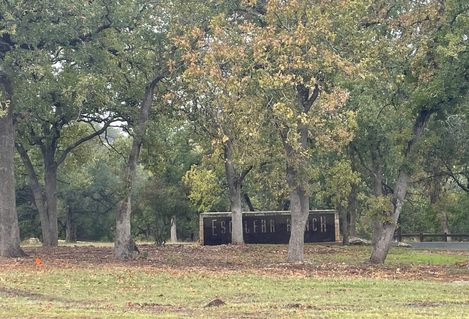 escalera ranch Georgetown TX