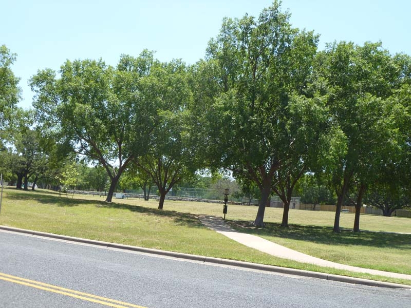 dog park cat hollow round rock