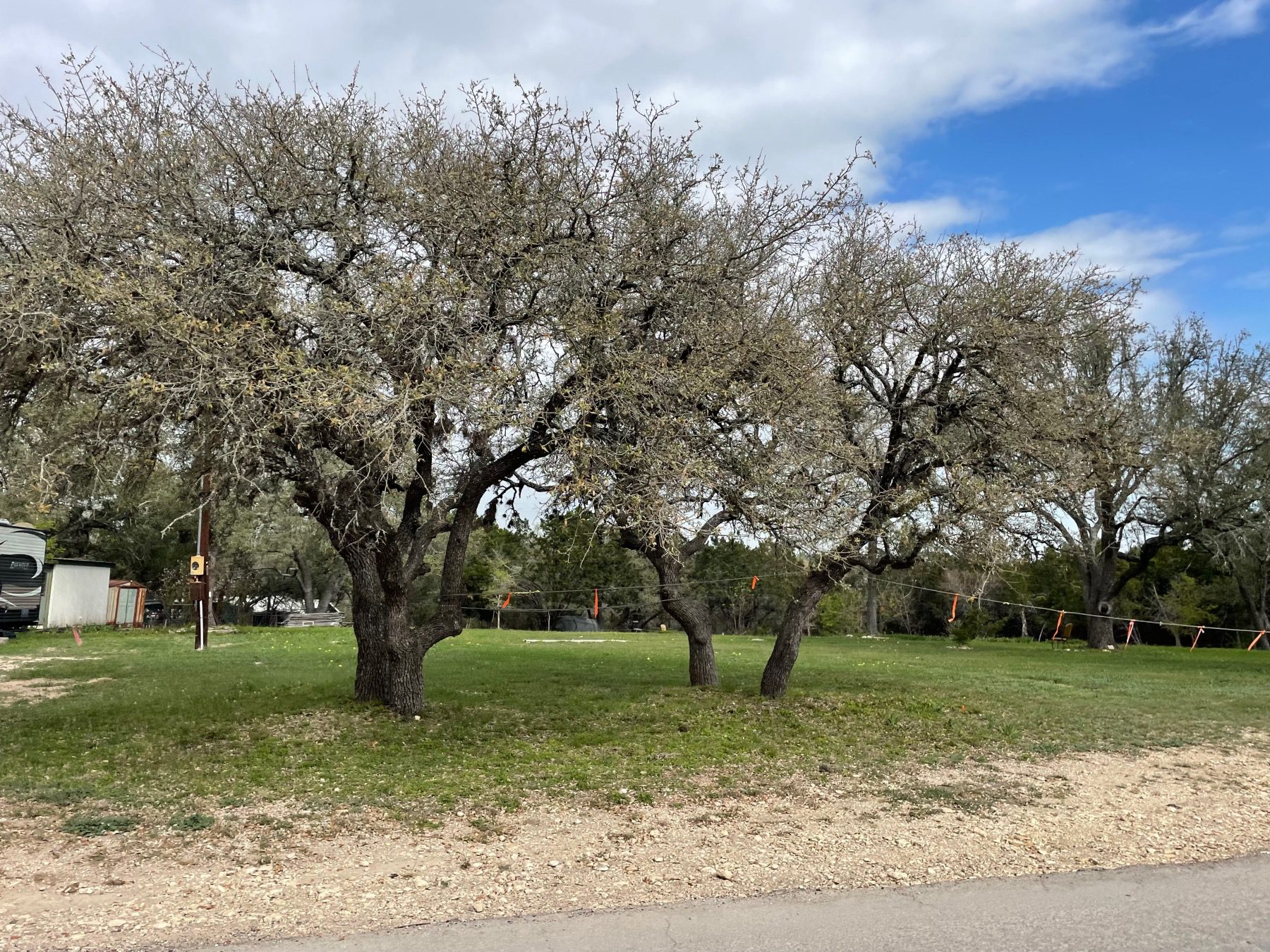 san Gabriel river ranch liberty hill home