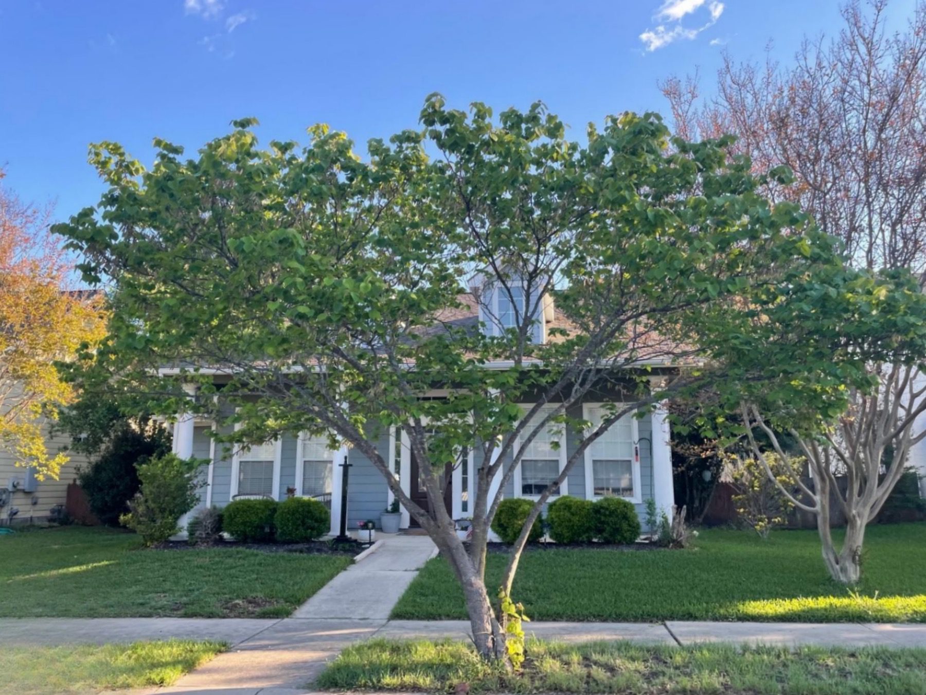 shell ranch home in georgetown tx 78633