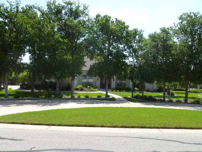 woodland-park-homes-georgetown