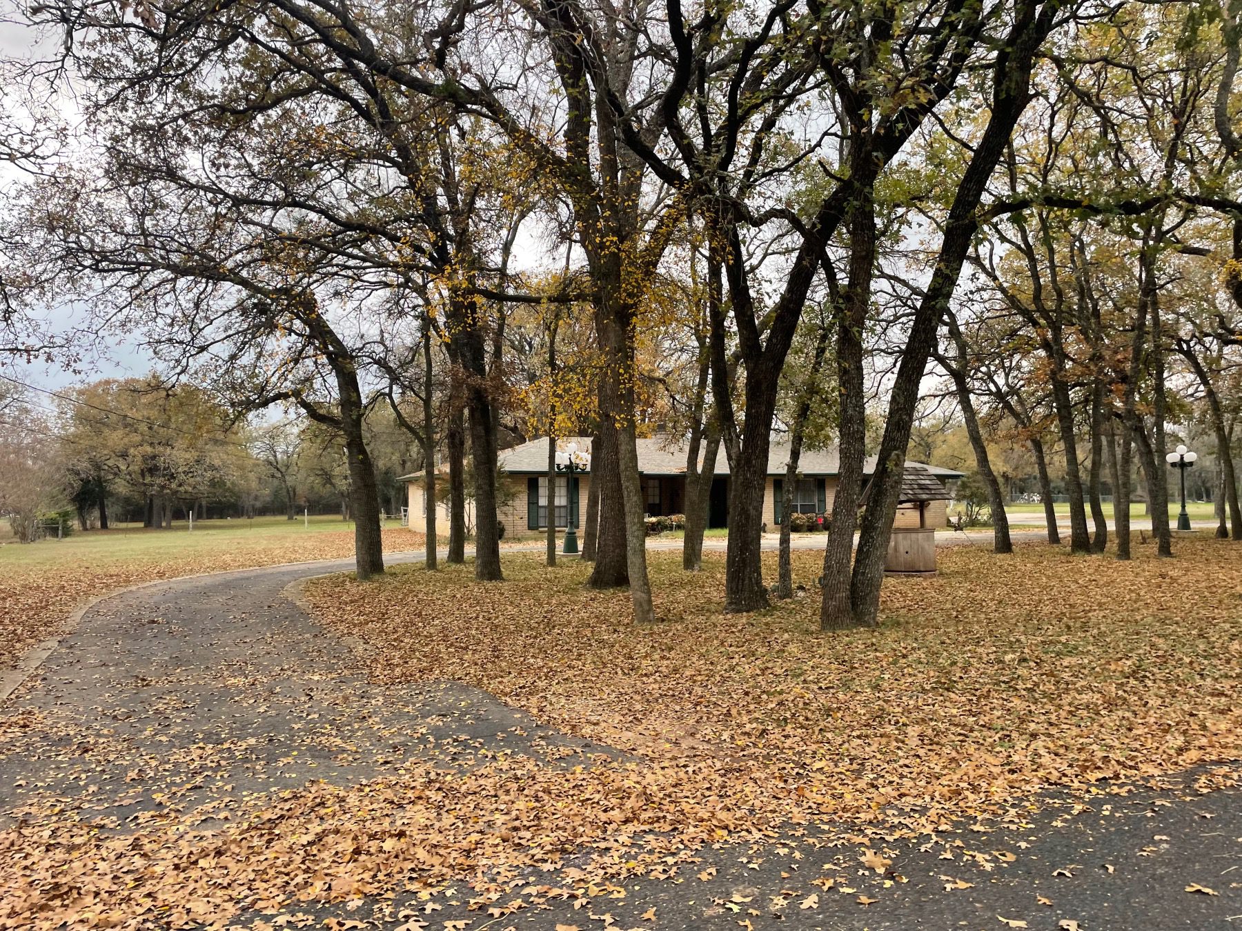 golden oaks home on wooded lot in georgetown