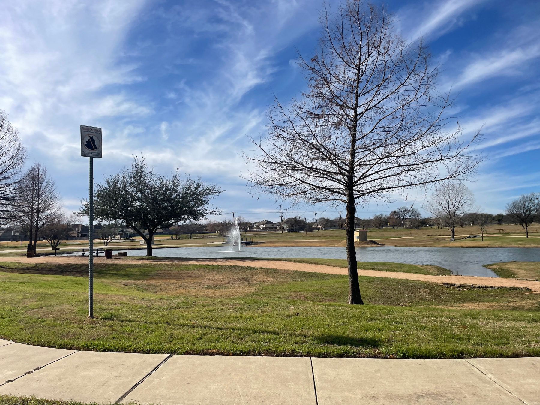 commons at rowe lane picnic area near lake pflugerville