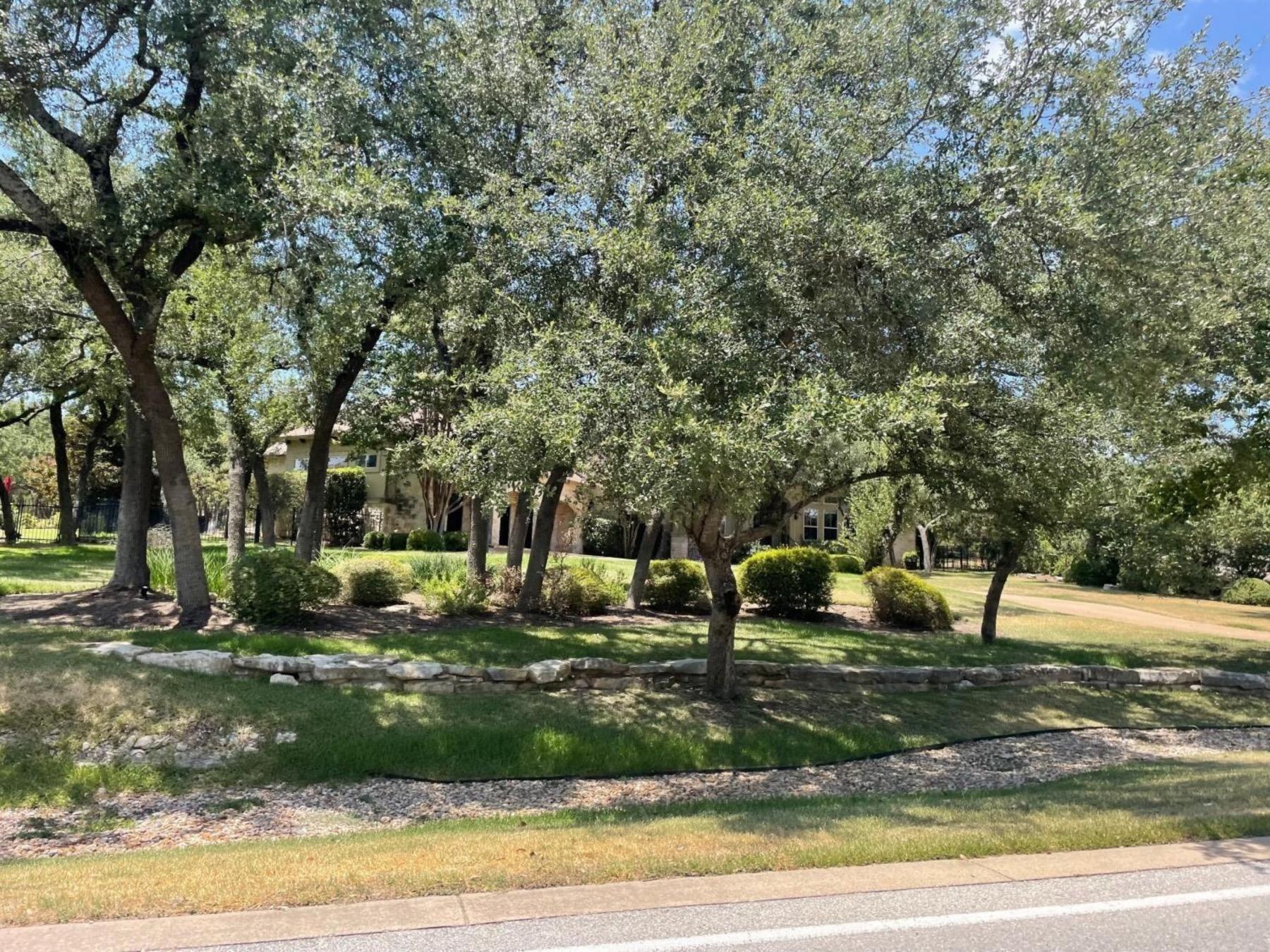 Vandegrift High School attendance zone homes for sale