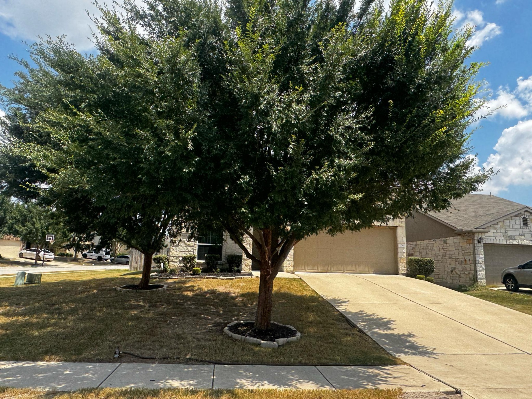 Home on corner lot in Meadows at Kyle community Kyle TX 78640