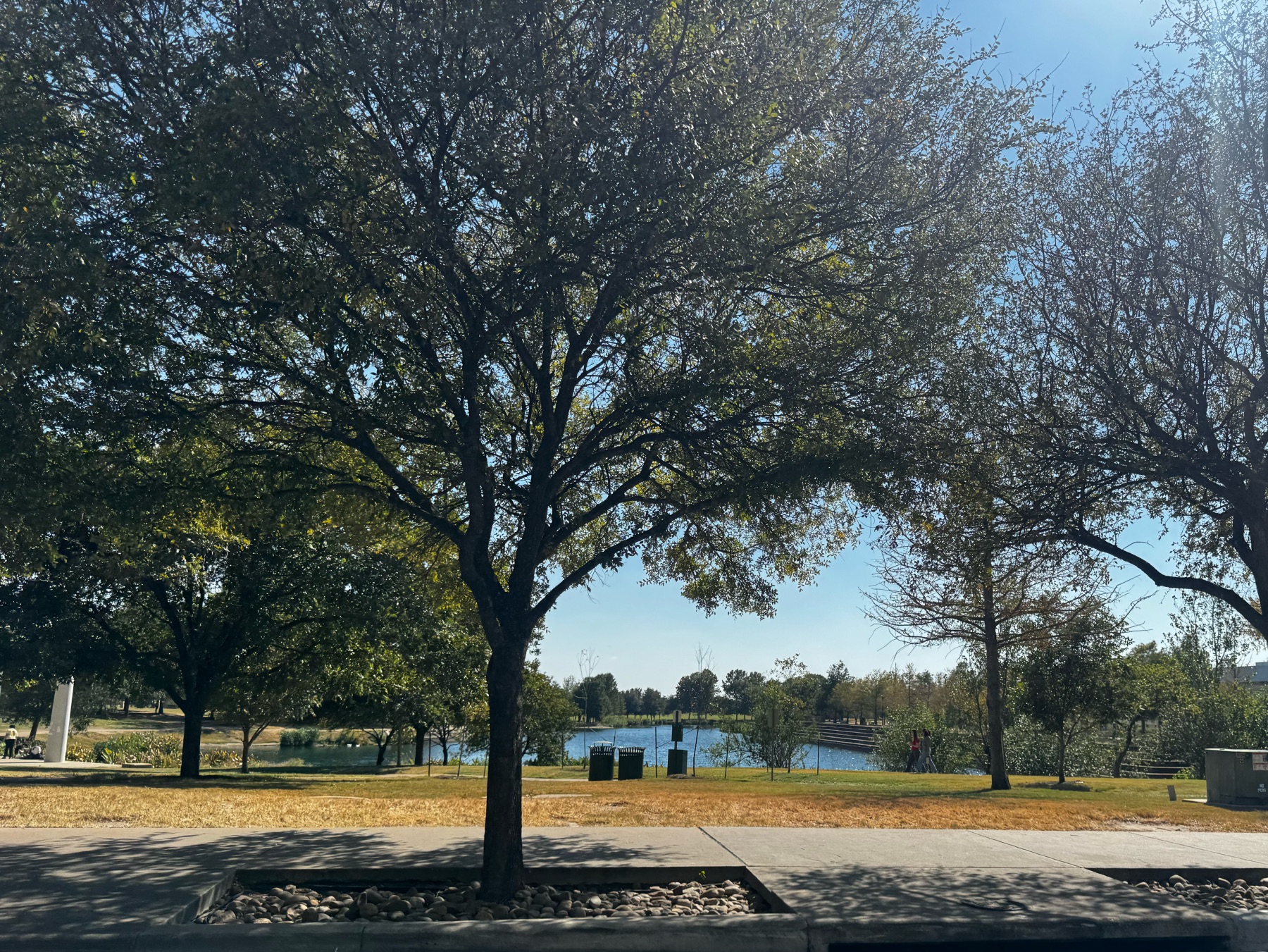Austin Mueller lake park