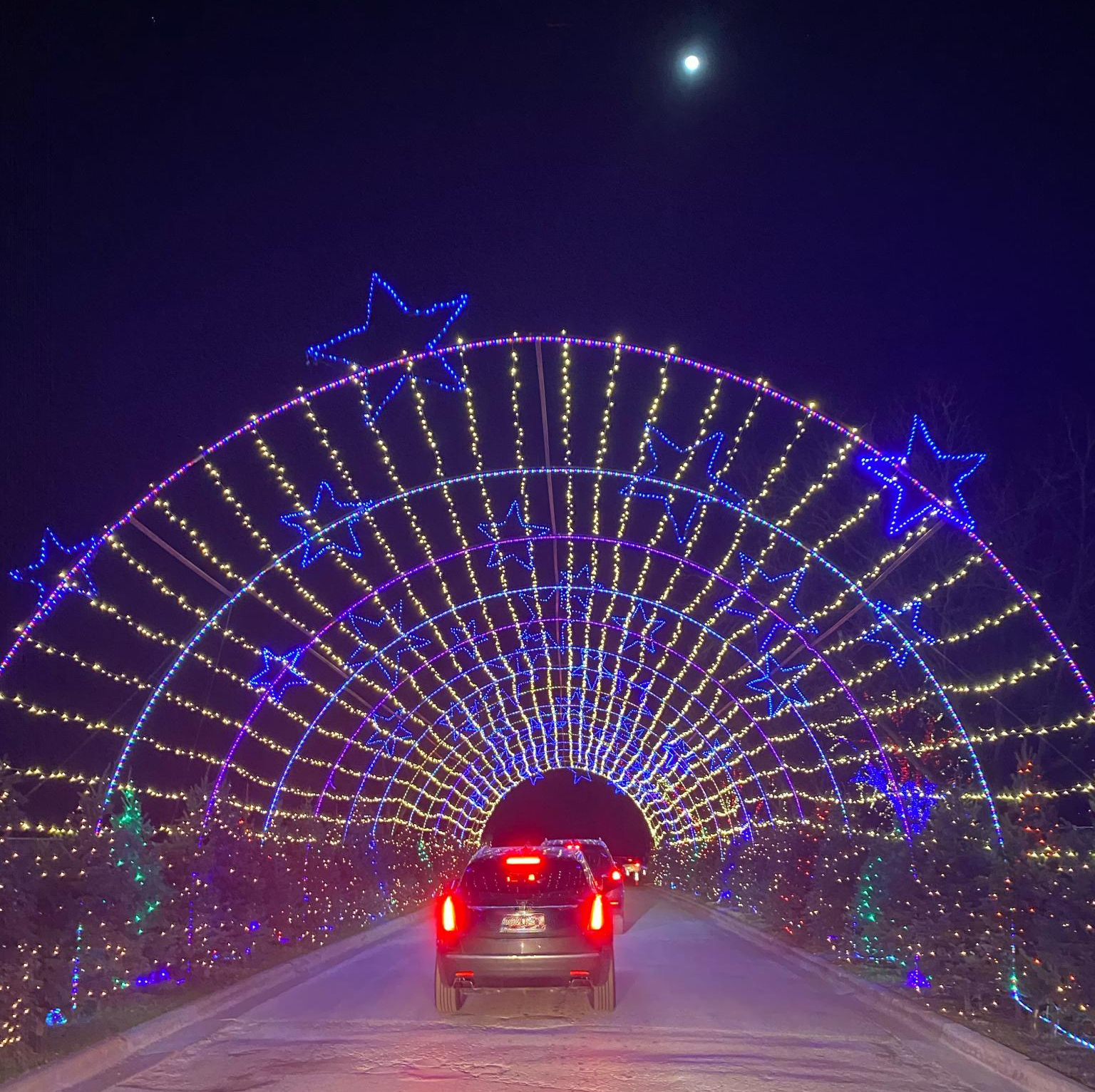 Zilker Park Trail of Lights Austin