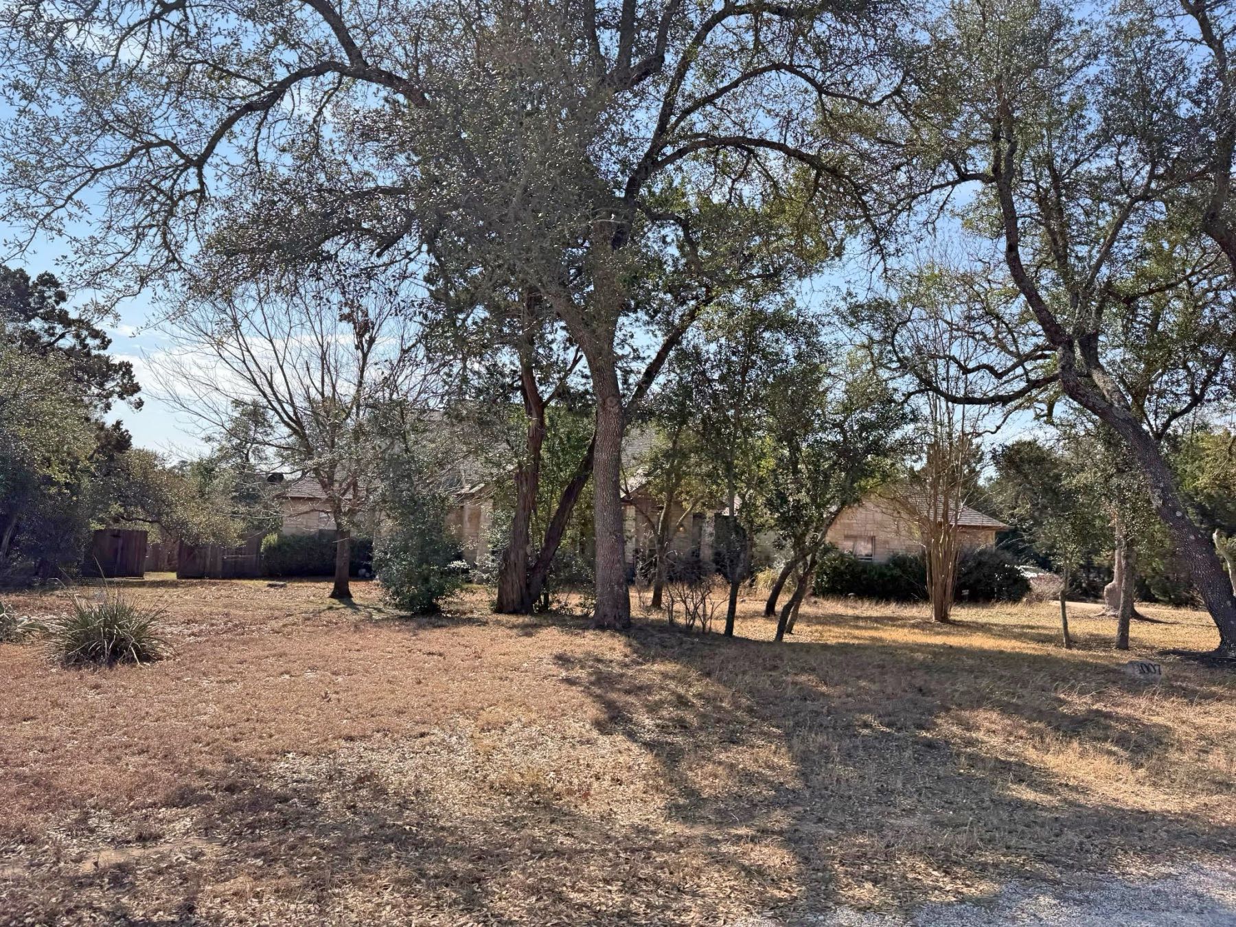 Densely wooded acreage lot with large live oak trees and home visible in background in Sunset Canyon, Dripping Springs TX 78620