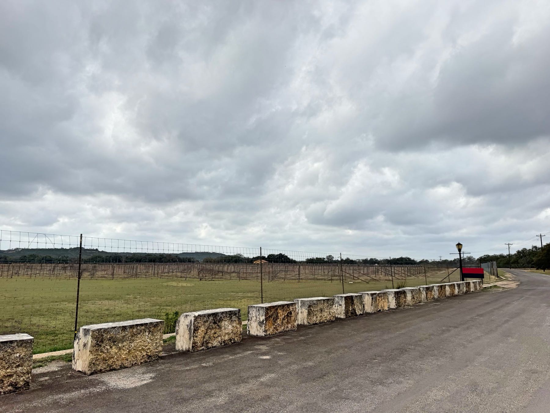 Vineyard rows with limestone wall along the road at Duchman Family Winery in Driftwood, Texas 78619
