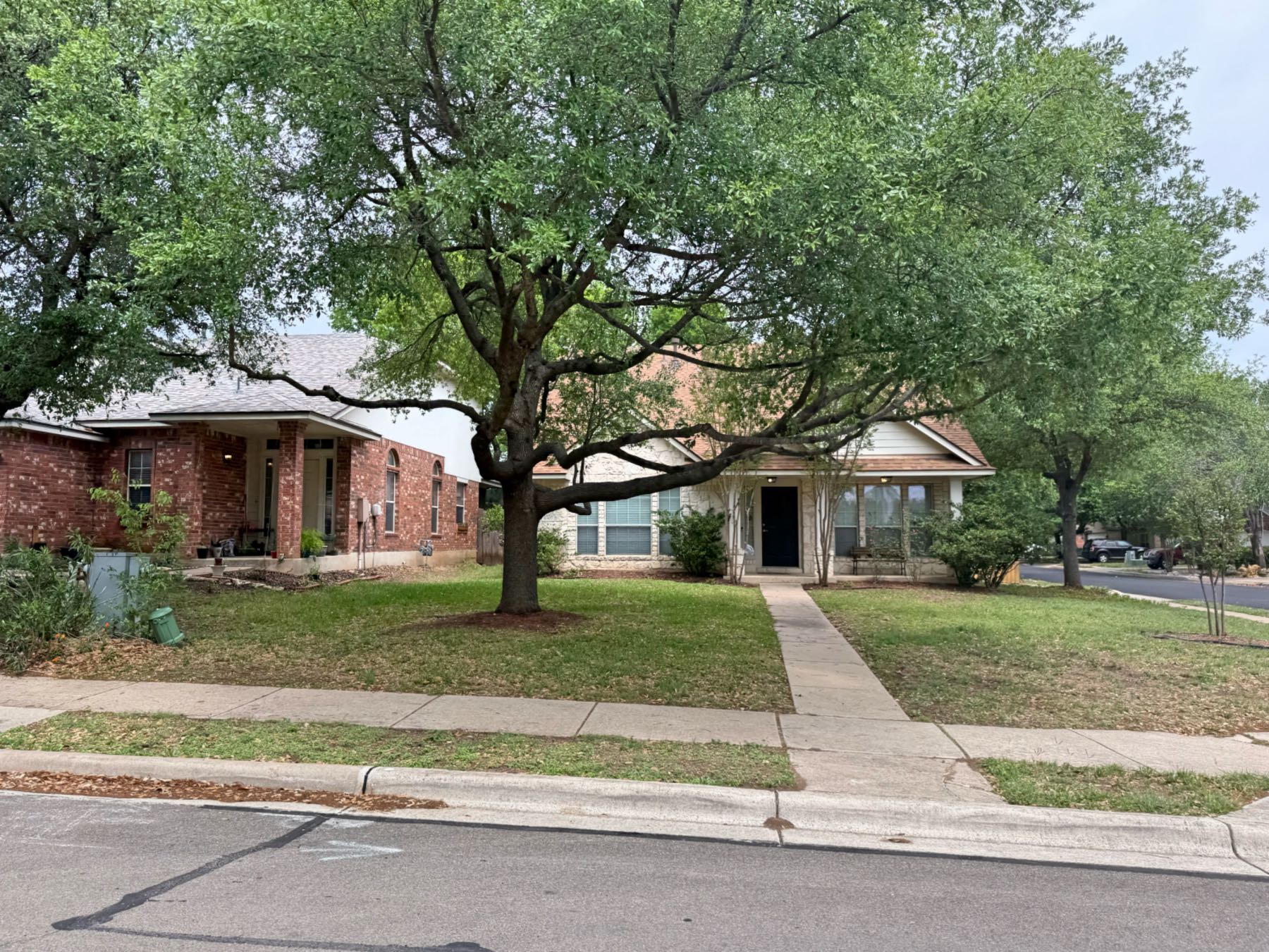 Tree lined residential street with ranch style homes and mature oak trees in Olympic Heights Austin TX 78748