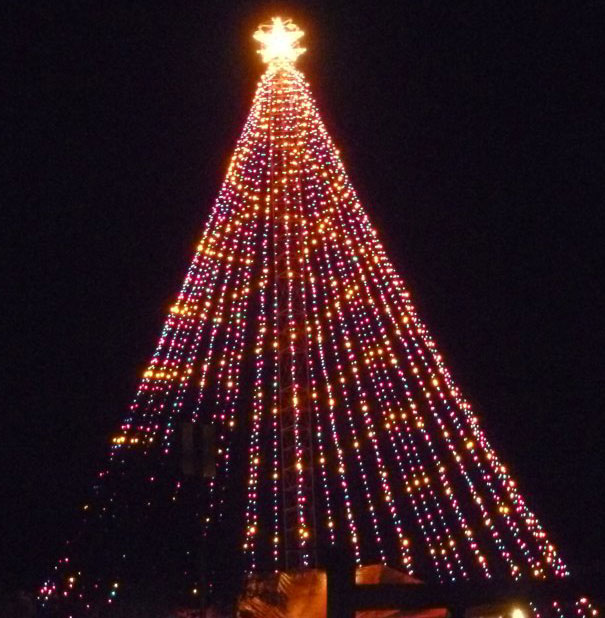 Zilker Austin Christmas Tree