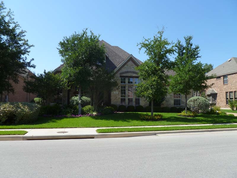 Hidden Glen Neighborhood Guide Living in Hidden Glen 78681