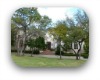 best west austin neighborhoods