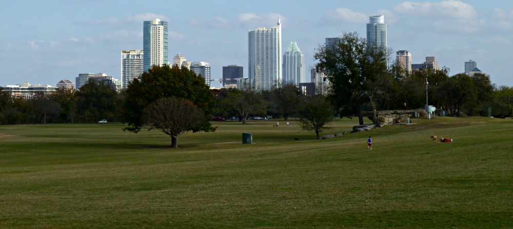 Austin named 10 best cities for urban forests