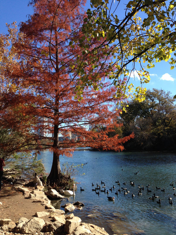 Austin named number 1 Best US Cities for Job Seekers