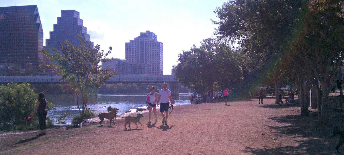 austin named #1 on best cities in the us for dogs list