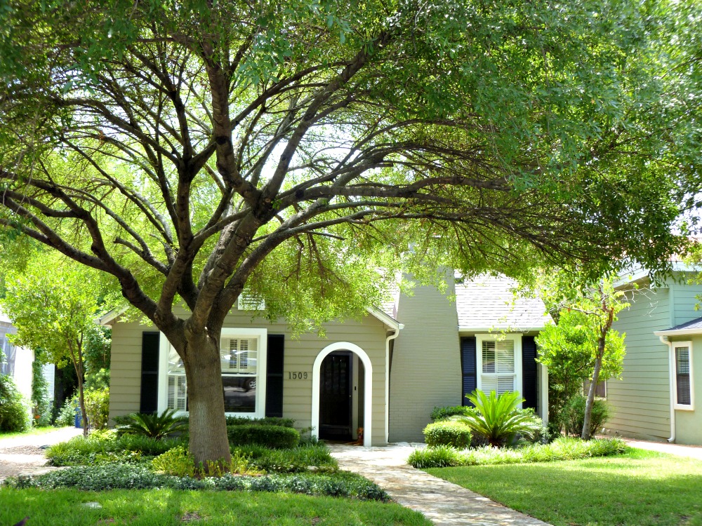 neighborhoods near UT austin clarksville