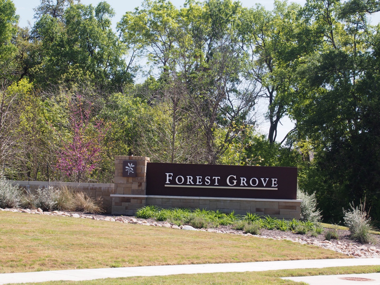 forest grove round rock neighborhood guide