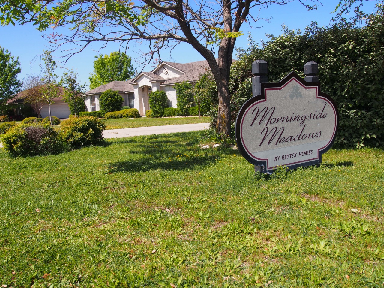 morningside meadows round rock neighborhood guide