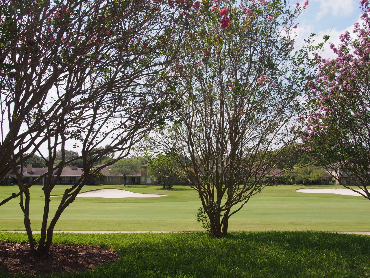 Austin golf course communities