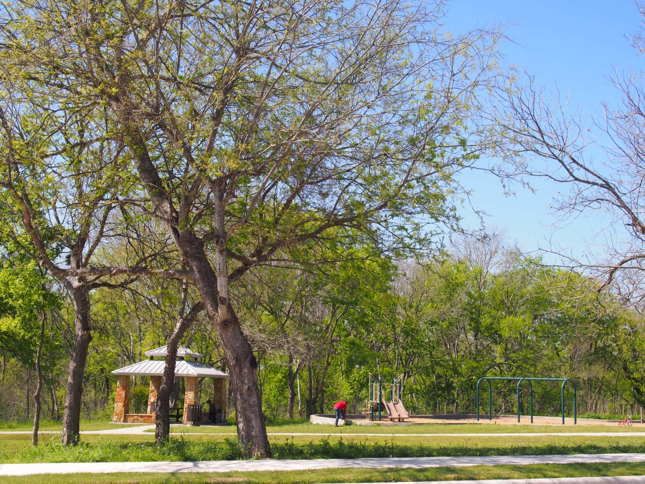 forest bluff round rock neighborhood guide