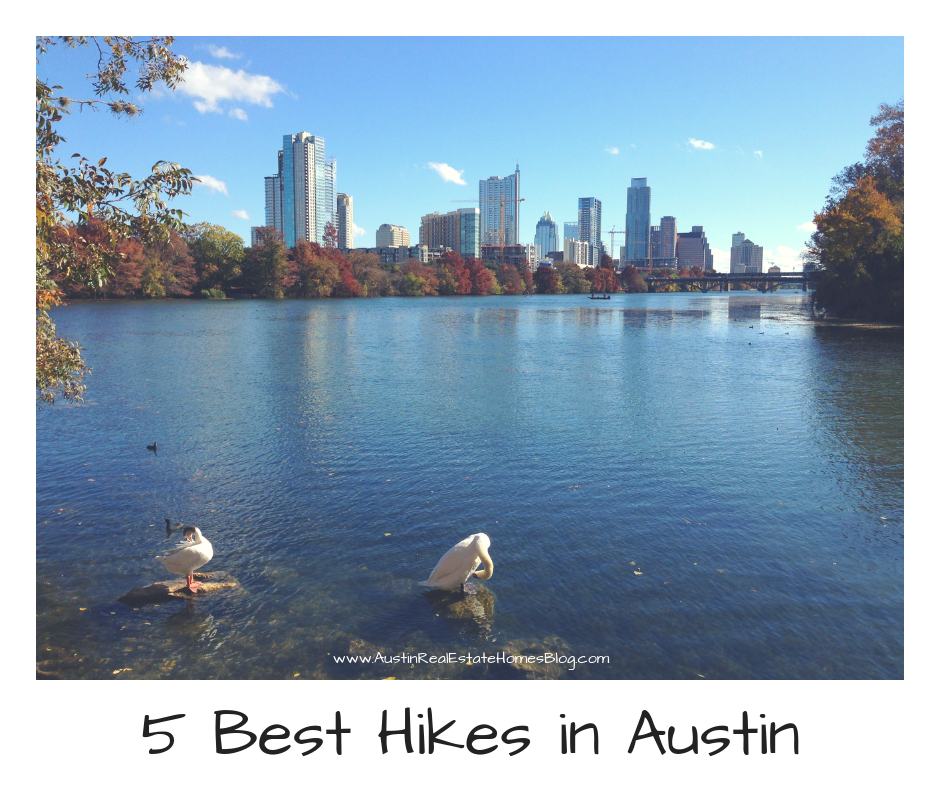 5 best hikes in austin