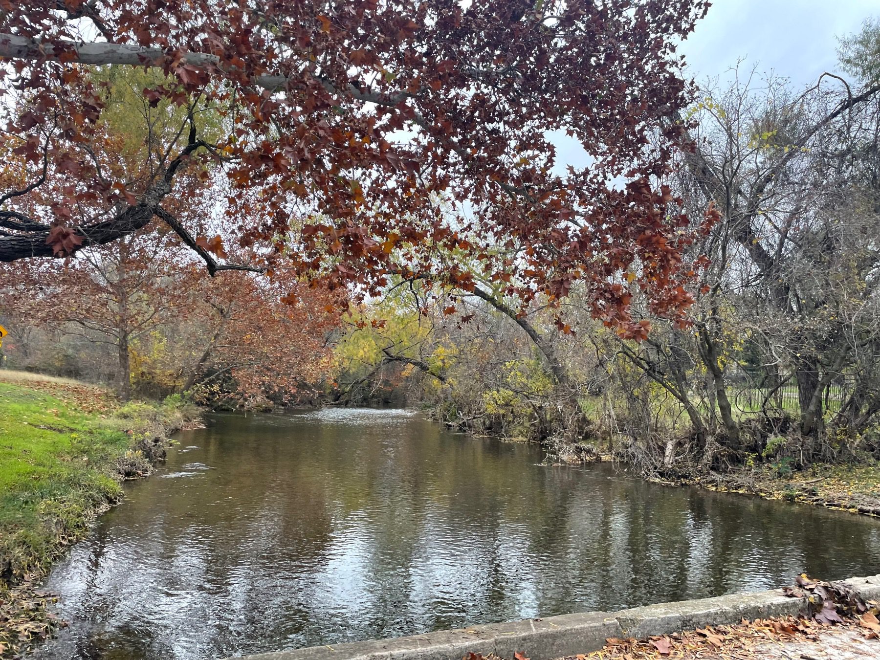 brushy bend park creek at entrance