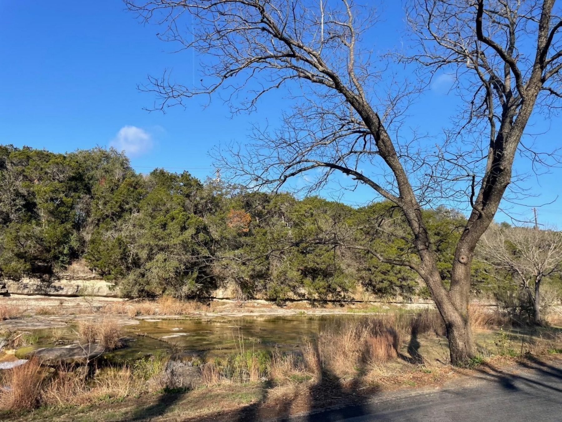 creek near Lakewood village Austin tx 78731