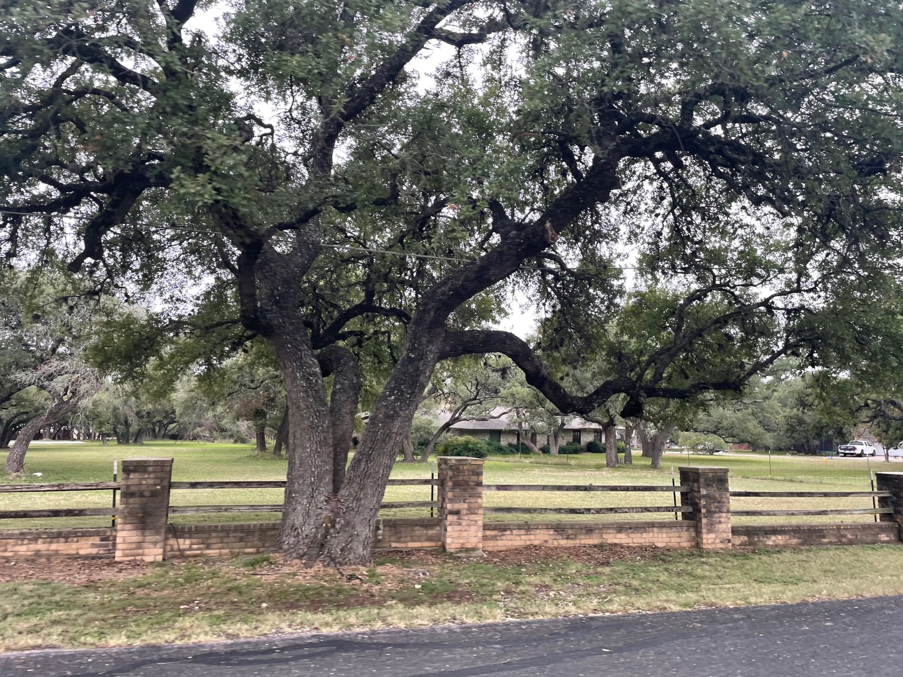 home in great oaks round rock texas