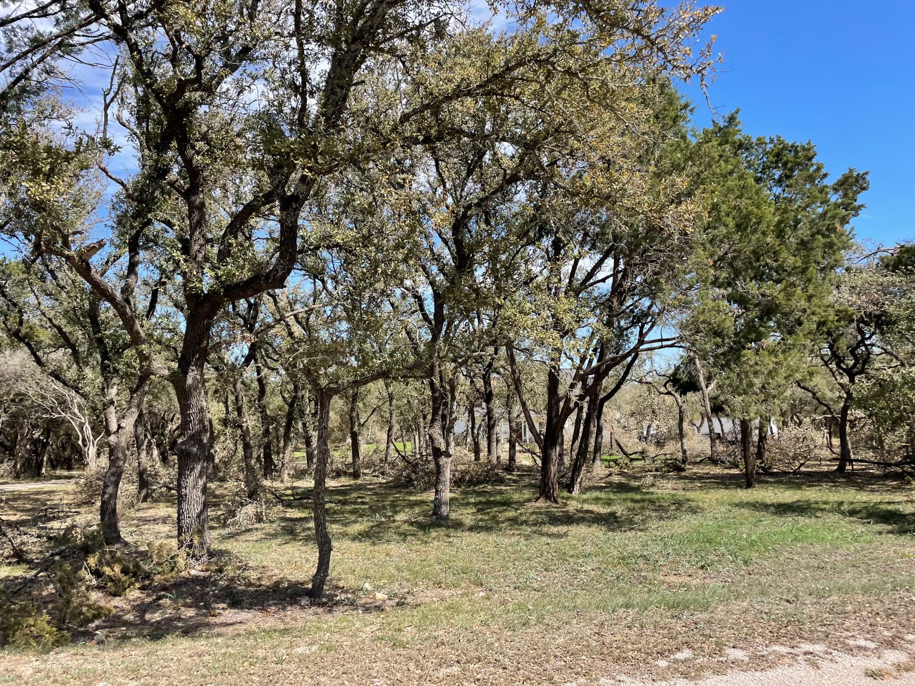 Larson estates Austin tx 78736 wooded lot