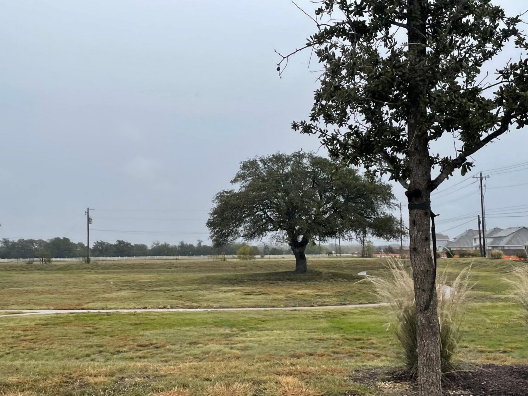 Haven Oaks Neighborhood Guide Living in Haven Oaks Leander