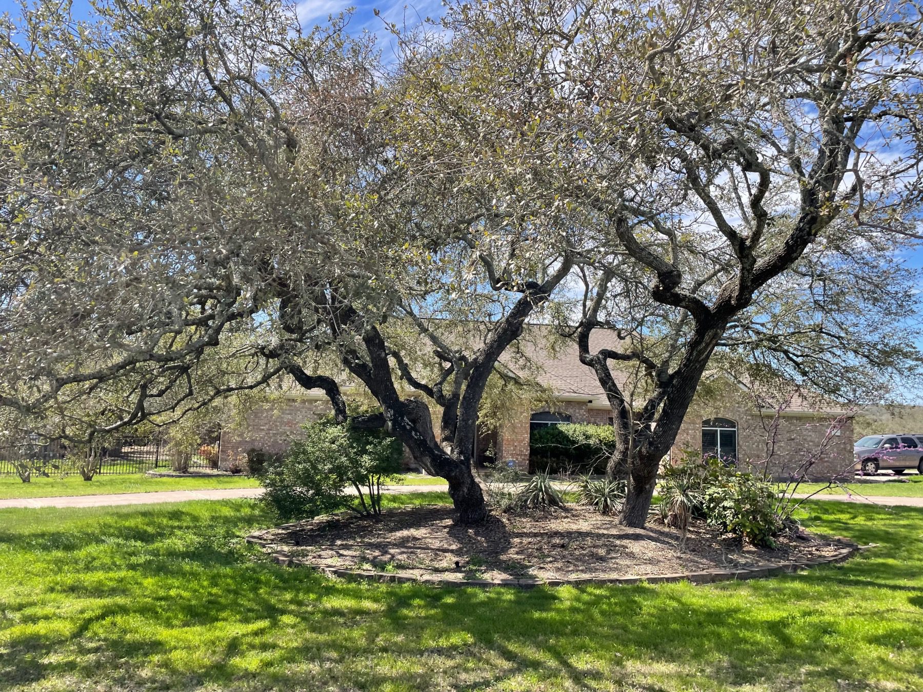 scenic brook estates one story home in Austin 78736
