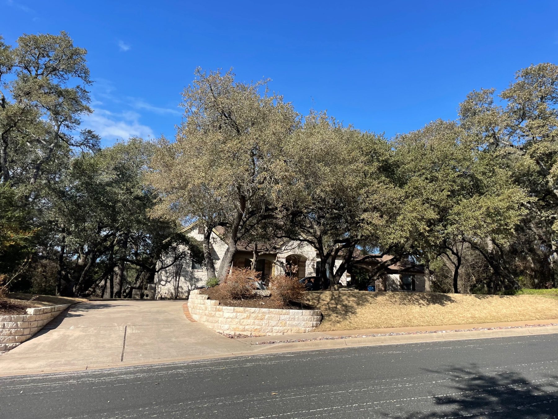 laurel canyon home on wooded lot Austin tx 78726
