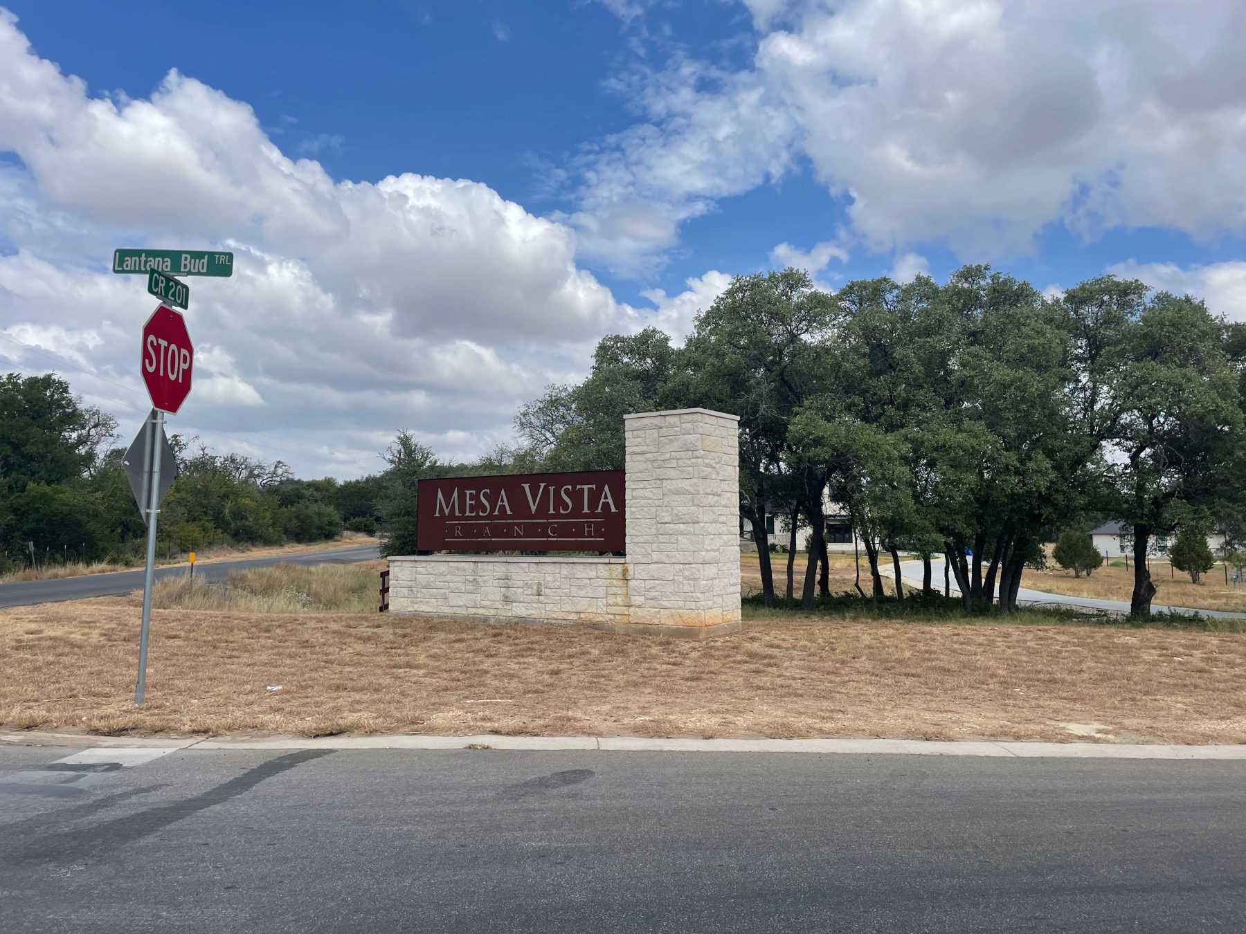 mesa vista ranch liberty hill neighborhood guide